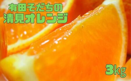【2025年3月上旬～発送】有田育ちの完熟清見オレンジ(ご家庭用)　約3kg