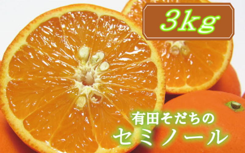 有田育ちの爽快セミノールオレンジ(ご家庭用)　約3kg【2025年4月より順次発送予定】