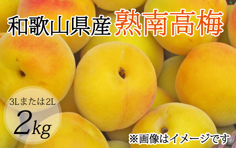 【梅干・梅酒用】（3Lまたは2L－2Kg）熟南高梅＜2025年6月上旬～7月上旬ごろに順次発送予定＞【art008A】