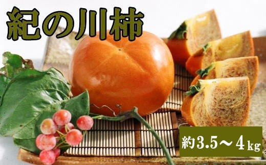 【希少】紀の川柿(種無し)約3.5～4kg・秀品※2024年10月中旬から11月中旬順次発送