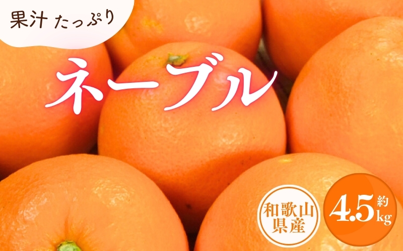 ネーブル 約4.5kg/サイズおまかせ　※2025年1月中旬～2025年2月上旬頃に順次発送予定(お届け日指定不可)　紀伊国屋文左衛門本舗　【ntbt431B】