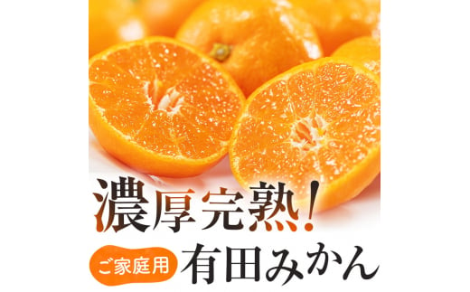 有田育ちのご家庭用完熟 有田みかん 8.5kg＋300g ※2025年1月上旬～1月下旬頃に順次発送【ard220-3】