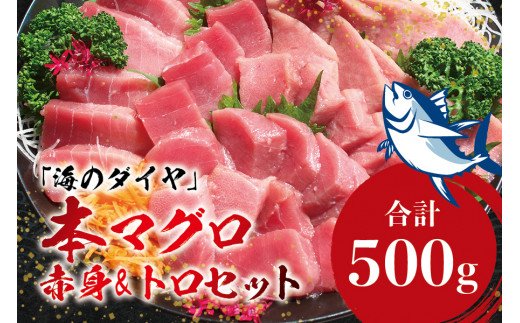 本マグロ（養殖）トロ＆赤身セット 500g 【1月発送】