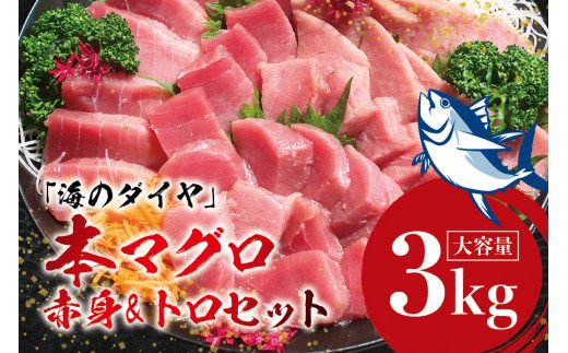 本マグロ（養殖）トロ＆赤身セット 3kg 【通常発送】