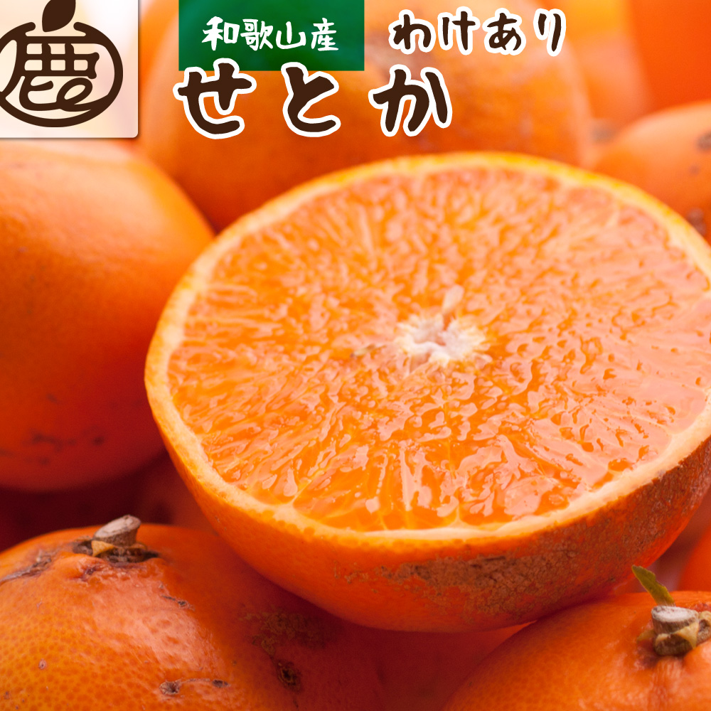 ＜先行予約＞家庭用せとか1.5kg+45g（傷み補償分）【柑橘・春みかんの王様】【光センサー選果・食べ頃出荷】【2024年2月中旬より発送】 