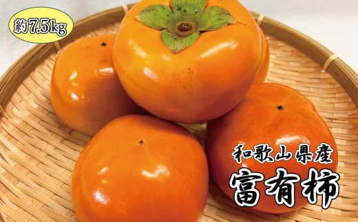 和歌山秋の味覚　富有柿　約7.5kg　※2024年11月上旬頃～11月下旬頃発送（お届け日指定不可）