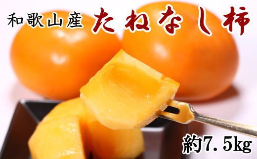 【秋の味覚】和歌山産のたねなし柿約7.5kg(L～4Lサイズおまかせ)　※2024年10月上旬～11月上旬頃に発送予定