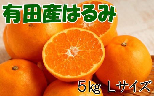 【厳選・濃厚】紀州有田産のはるみ約5kg(Lサイズ) ※2024年1月下旬～2月中旬頃順次発送(お届け日指定不可)