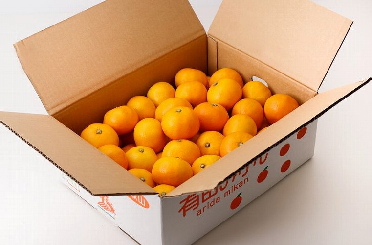 和歌山県産 有田みかん わけあり 10kg×6箱【小玉】ミカン フルーツ 柑橘