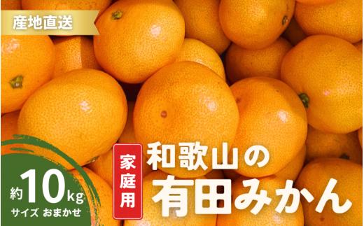 ＼配送月が選べる！／ 家庭用  有田みかん 和歌山  S～Lサイズ 大きさお任せ 10kg/ みかん フルーツ 果物 くだもの 有田みかん 蜜柑 柑橘【ktn008A-cho】