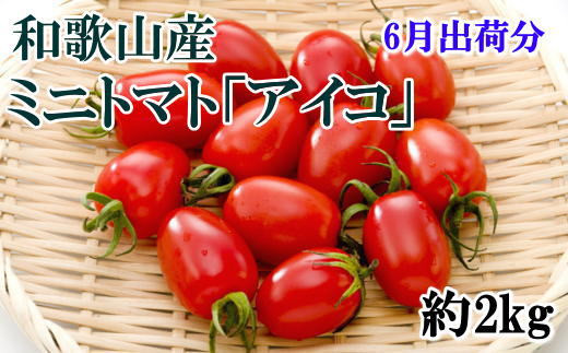 【6月発送】和歌山産ミニトマト「アイコトマト」約2kg（S・Mサイズおまかせ）【tec100-6】