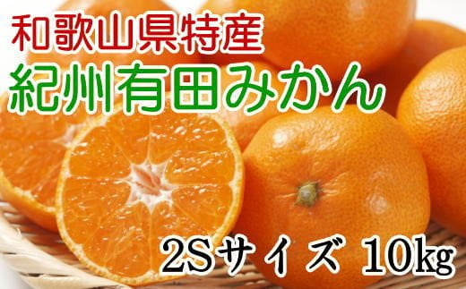 [秀品]和歌山有田みかん　約10kg(2Sサイズ)  先行予約 ※2025年11月中旬～2026年1月中旬頃順次発送予定（お届け日指定不可）【tec832A】