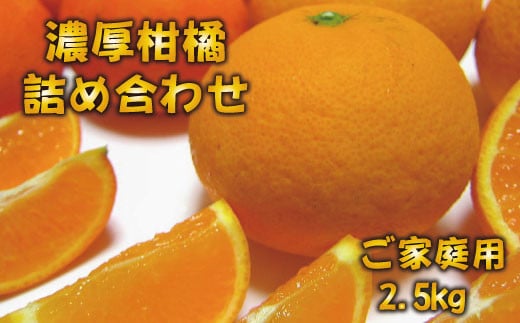 【先行予約】有田育ちの濃厚柑橘詰め合わせセット(ご家庭用)　約2.5kg【2025年1月中旬～4月下旬順次発送予定】
