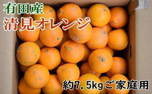 【産直】有田産清見オレンジ 約7.5kg（訳あり家庭用サイズおまかせまたは混合） ※2025年2月上旬～3月下旬頃順次発送予定（日付指定不可）