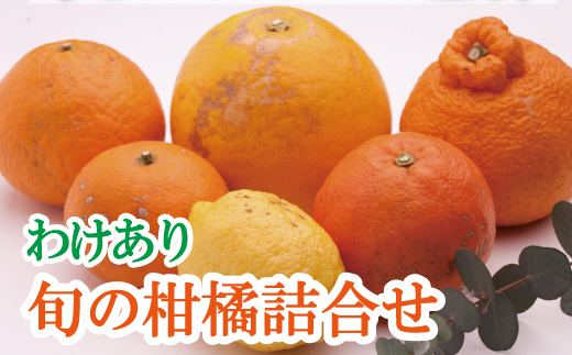 家庭用 柑橘詰合せ2kg+60g（傷み補償分）【訳あり・わけあり】【有田の春みかん詰め合わせ・フルーツ詰め合せ・オレンジつめあわせ】【光センサー選別】【ikd184】