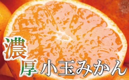 家庭用 小玉な有田みかん2.5kg+75g（傷み補償分）【わけあり・訳あり】【光センサー選果】＜11月上旬より順次発送予定＞【ikd153A】｜ふるラボ