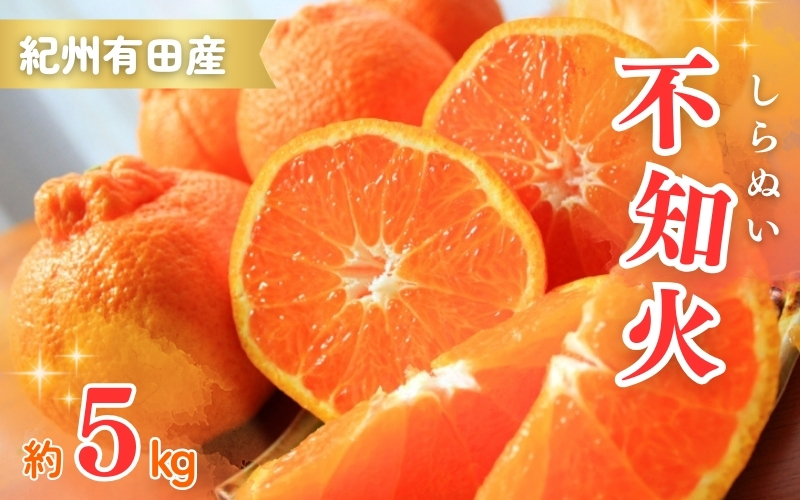 先行予約 紀州有田産不知火(しらぬひ) 約5kg ＜2025年2月中旬頃～3月上旬頃発送＞ みかん 柑橘類