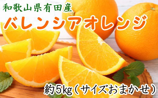 和歌山県有田産バレンシアオレンジ約5kg（サイズおまかせ）※2023年6月 ...