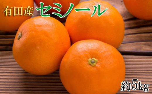 和歌山有田産セミノールオレンジ約5kg(サイズおまかせ　秀品) 