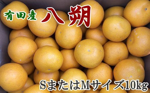 【手選果】有田産の八朔10kg（SまたはMサイズいずれかお届け）＜2024年1月下旬～2月下旬頃順次発送予定＞