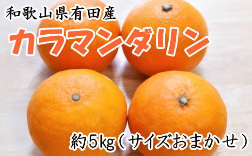 【濃厚春みかん】和歌山有田産カラマンダリン約5kg（サイズおまかせ）※2025年4月上旬～4月中旬頃に発送（お届け日指定不可）