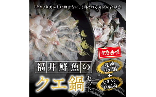 【先行予約】幻のクエ！国産 養殖クエ鍋500g 刺身150g くえ 鍋 セット 