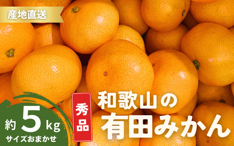 【1月発送】秀品 有田みかん 和歌山県産  S～Lサイズ 大きさお任せ 5kg/ みかん フルーツ 果物 くだもの 有田みかん 蜜柑 柑橘【ktn002-1】