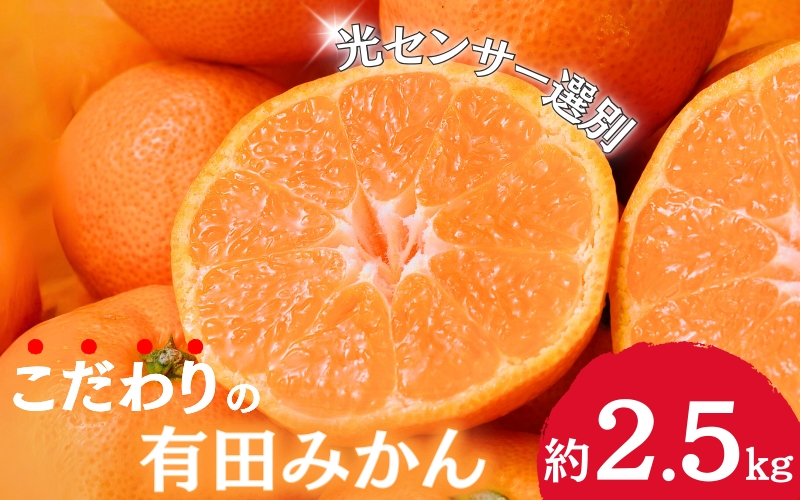 [2024年11月発送予約分]＼光センサー選別/農家直送 こだわりの有田みかん約2.5kg+75g(傷み補償分) [ご家庭用][11月発送]※北海道・沖縄・離島配送不可/みかん[nuk159-1A]