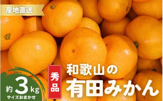 【10月発送】秀品 有田みかん 和歌山県産  S～Lサイズ 大きさお任せ 3kg / みかん フルーツ 果物 くだもの 有田みかん 蜜柑 柑橘【ktn001-10】