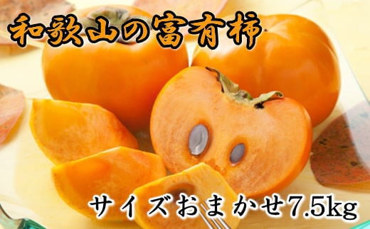 [甘柿の王様]和歌山産富有柿約7.5kgサイズおまかせ ※2024年11月上旬～2024年12月上旬ごろ順次発送