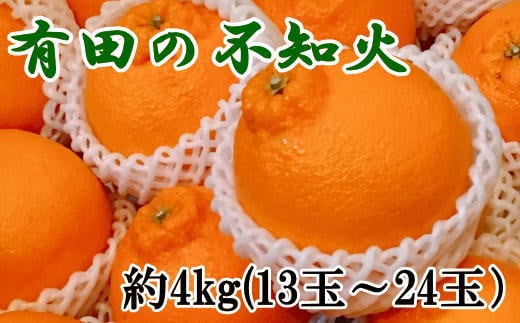 【濃厚】有田の不知火約4kg（13玉～24玉おまかせ）【tec863】