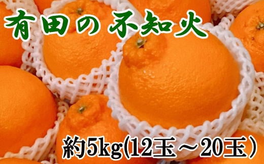 【濃厚】有田の不知火約5kg（12玉～20玉おまかせ） 【tec861】