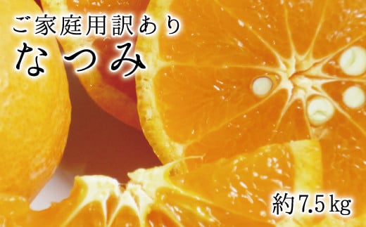 【ご家庭用訳アリ】初夏のみかん なつみ7.5kg　※2025年4月中旬～2025年4月下旬頃に順次発送予定(お届け日指定不可)【uot733】