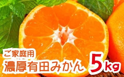 【先行予約】【2024年11月発送】 農園直送！完熟有田みかん 約5kg 予約 和歌山 有田みかん みかん【11月発送】