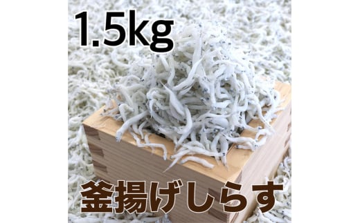 釜揚げしらす1.5kg(500g×3パック) / シラス 厳選 小分け 冷蔵便【dig013】