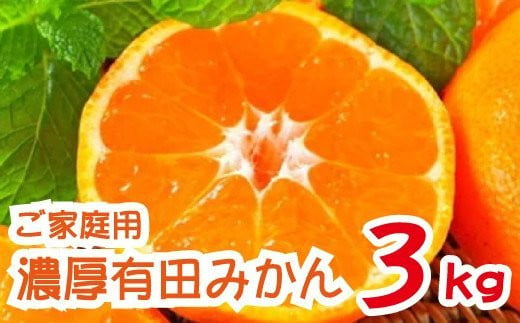 農園直送！完熟有田みかん 約3kg 予約 和歌山 有田みかん みかん【2024年12月発送】 