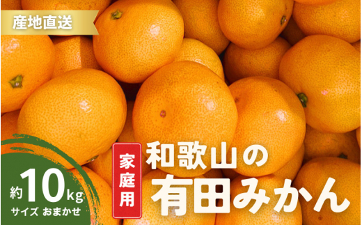 【10月発送】家庭用 有田みかん 和歌山 S～Lサイズ 大きさお任せ 10kg / みかん フルーツ 果物 くだもの 有田みかん 蜜柑 柑橘【ktn008A-10】