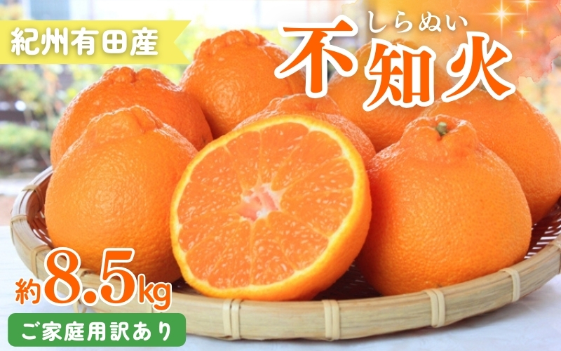 【ご家庭用訳あり】紀州有田産不知火(しらぬひ) 約8.5kg 【予約】※2025年2月中旬頃～3月上旬頃に順次発送予定(お届け日指定不可)