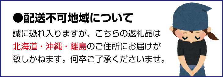 2022年発送】【秋の味覚】柿の代表格 和歌山の富有柿 約3.6kg【串本グルメ市場】｜ふるラボ