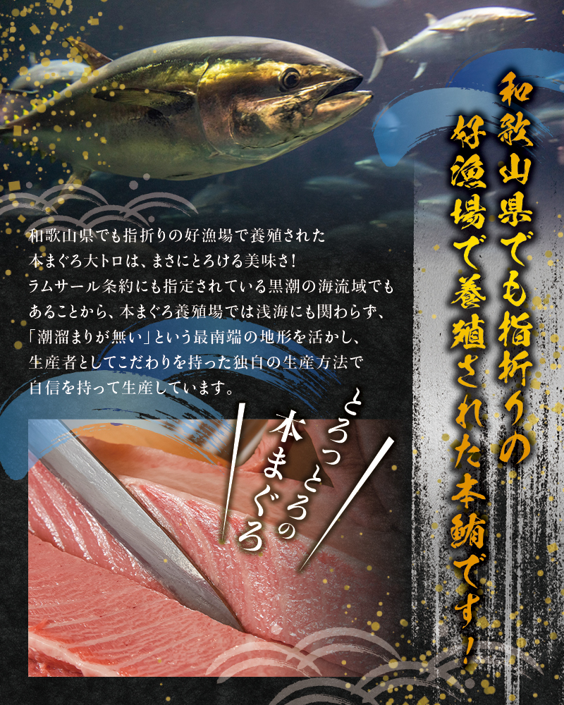 本マグロ 大とろ 200g サク 「プレミア和歌山認定」 和歌山県でも