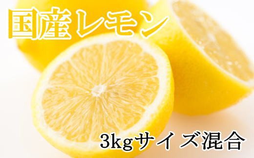 【産直】和歌山産レモン約3kg（サイズ混合）※2022年3月上旬より順次発送