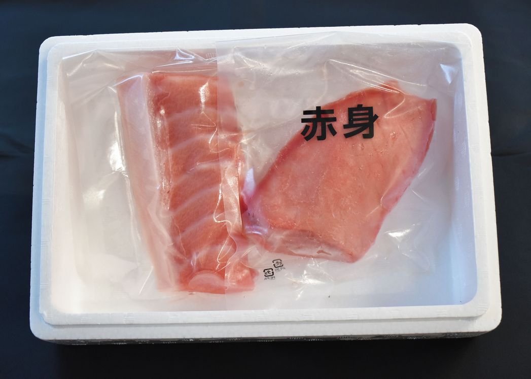 本マグロ トロ＆赤身セット240g（養殖）【1月発送】濃厚な赤身と高級