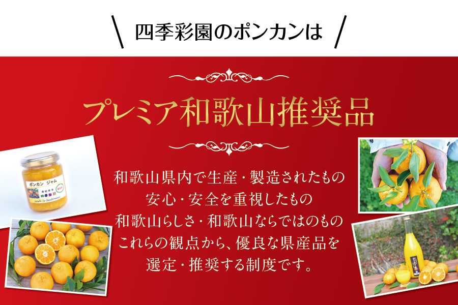 訳あり】くしもとポンカン 10kg S・Mサイズ混合 ご家庭用 先行予約【12月下旬～1月下旬発送予定】（お届け日指定不可）｜ふるラボ