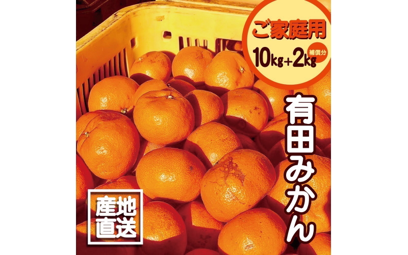 みかん・柑橘類（和歌山県 串本町）のふるさと納税を探す（1ページ目