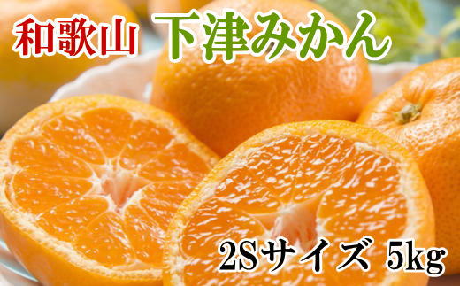 【産直・秀品】和歌山下津みかん　5kg(2Sサイズ) ※2024年11月中旬～2025年1月中旬ごろに順次発送(お届け日指定不可)