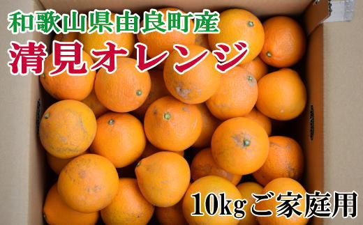 【訳あり・ご家庭用】和歌山由良町産の濃厚清見オレンジ約10kg　※2025年2月中旬～2025年2月下旬頃より順次発送（お届け日指定不可）【tec877】