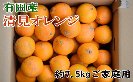 【産直】有田産清見オレンジ 約7.5kg（訳あり家庭用サイズおまかせまたは混合）※2025年2月上旬～3月下旬頃順次発送予定（日付指定不可）