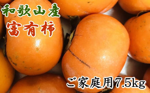 和歌山産富有柿ご家庭用約7.5kg　※2024年11月上旬～2024年12月上旬に順次発送 