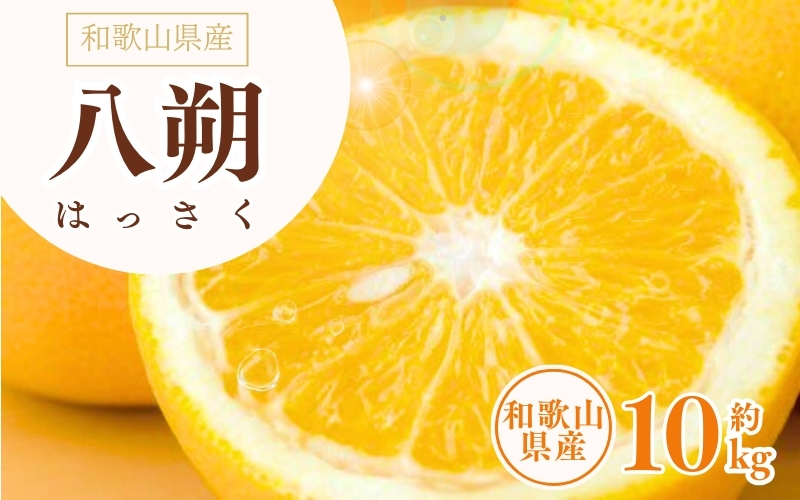 八朔(はっさく)約10kg サイズおまかせ　紀伊国屋文左衛門本舗 ※2025年1月下旬～2025年4月上旬頃に発送予定【kstb411A】