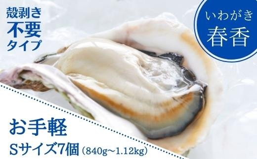 【ブランドいわがき春香】新鮮クリーミーな高級岩牡蠣 殻なしSサイズ×７個